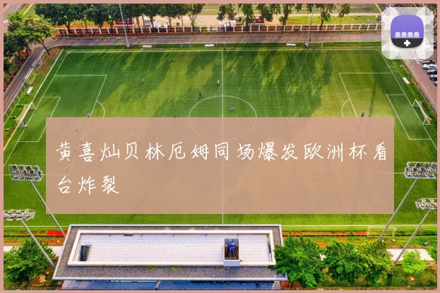 黄喜灿贝林厄姆同场爆发欧洲杯看台炸裂