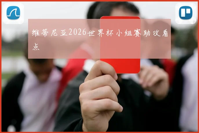 维蒂尼亚2026世界杯小组赛助攻看点
