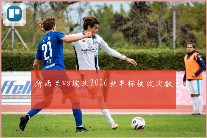 新西兰vs埃及2026世界杯快攻次数
