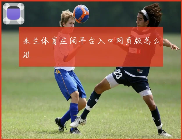 米兰体育庄闲平台入口网页版怎么进