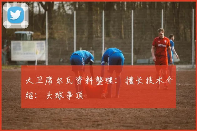 大卫席尔瓦资料整理：擅长技术介绍：头球争顶