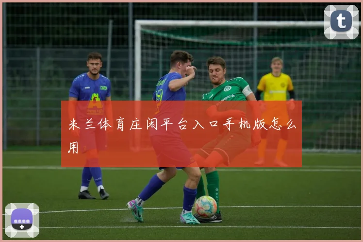 米兰体育庄闲平台入口手机版怎么用