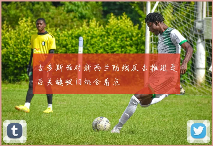 古多斯面对新西兰防线反击推进是否关键破门机会看点